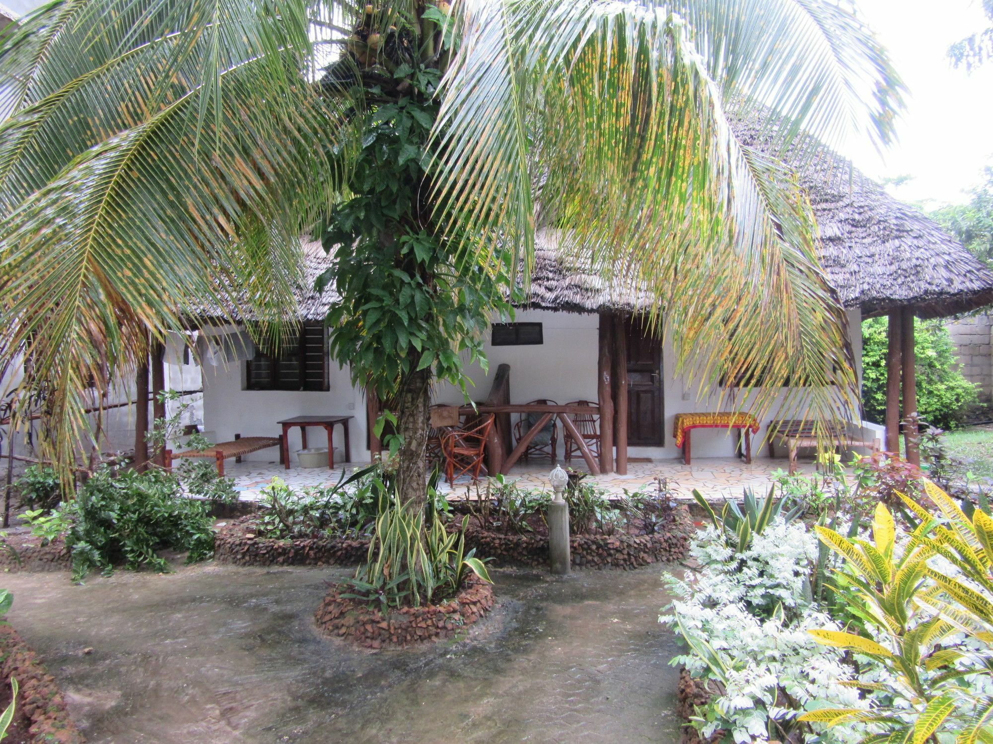 Baraka Beach Bungalows Nungwi Eksteriør billede